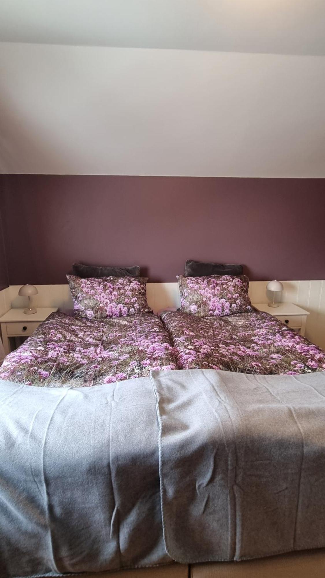 Fornilaekur Guesthouse بلونديوس المظهر الخارجي الصورة